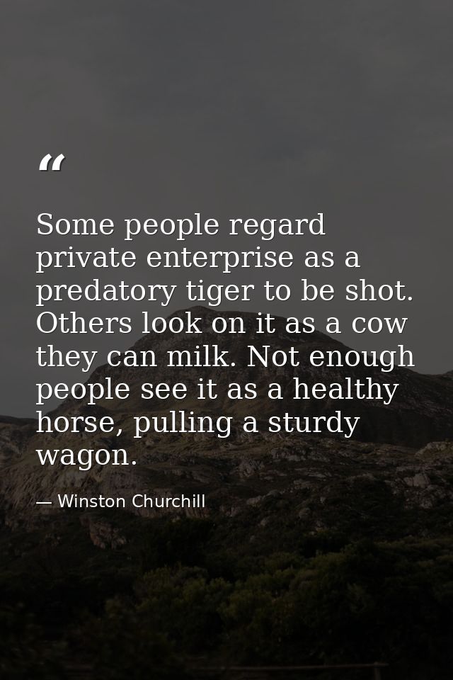 Some people regard private enterprise as a predatory tiger to be shot. Others look on it as a cow they can milk. Not eno — Winston Churchill