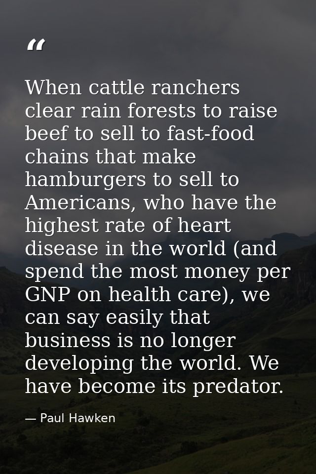 When cattle ranchers clear rain forests to raise beef to sell to fast-food chains that make hamburgers to sell to Americ — Paul Hawken