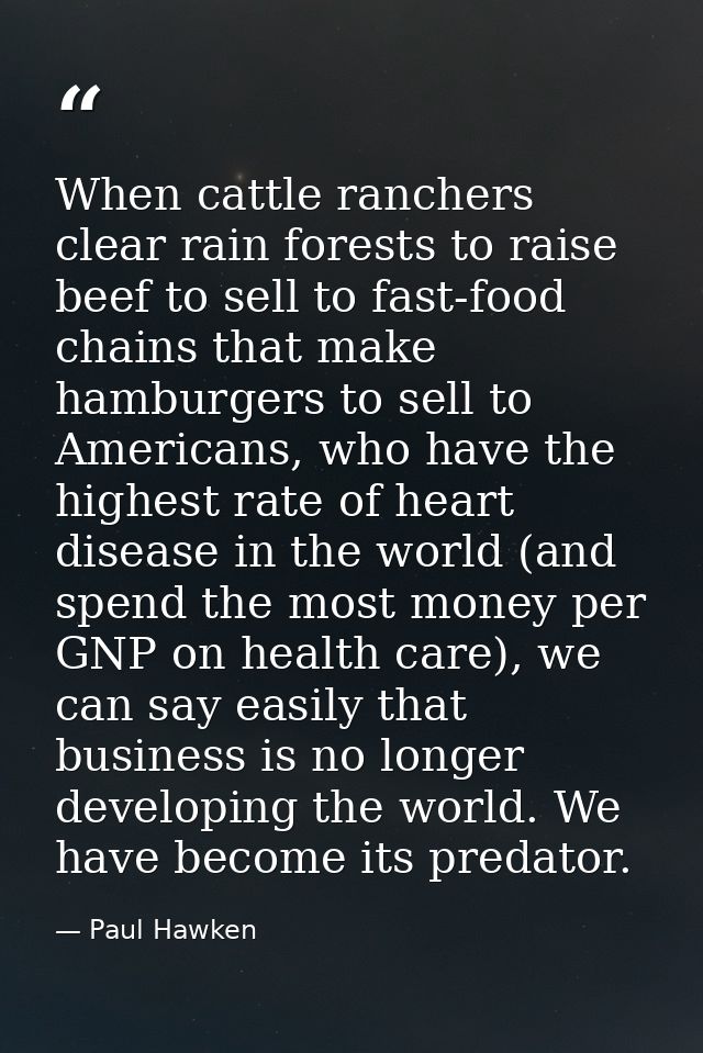 When cattle ranchers clear rain forests to raise beef to sell to fast-food chains that make hamburgers to sell to Americ — Paul Hawken