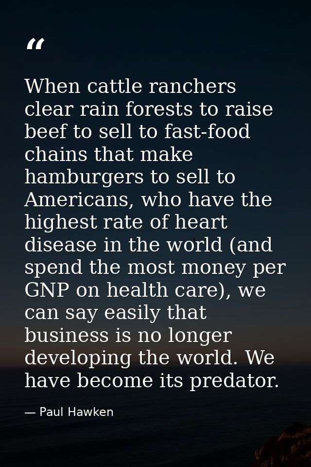 When cattle ranchers clear rain forests to raise beef to sell to fast-food chains that make hamburgers to sell to Americ — Paul Hawken