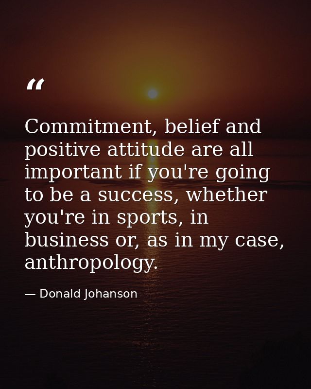 Commitment, belief and positive attitude are all important if you're going to be a success, whether you're in sports, in — Donald Johanson