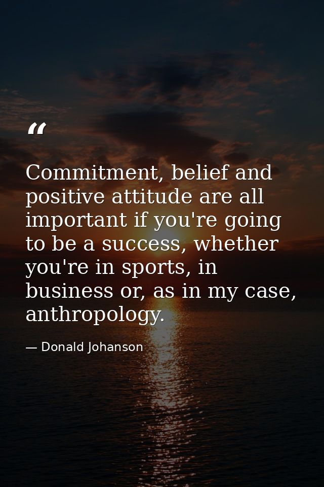 Commitment, belief and positive attitude are all important if you're going to be a success, whether you're in sports, in — Donald Johanson