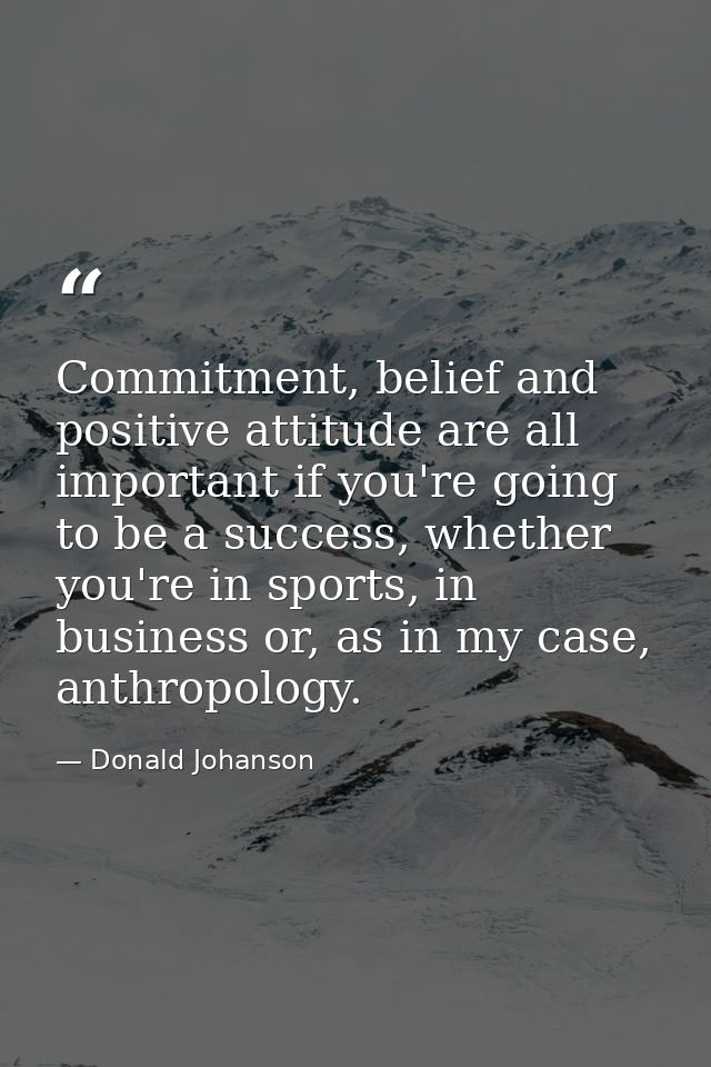 Commitment, belief and positive attitude are all important if you're going to be a success, whether you're in sports, in — Donald Johanson