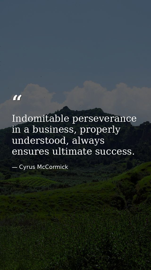 Indomitable perseverance in a business, properly understood, always ensures ultimate success. — Cyrus McCormick