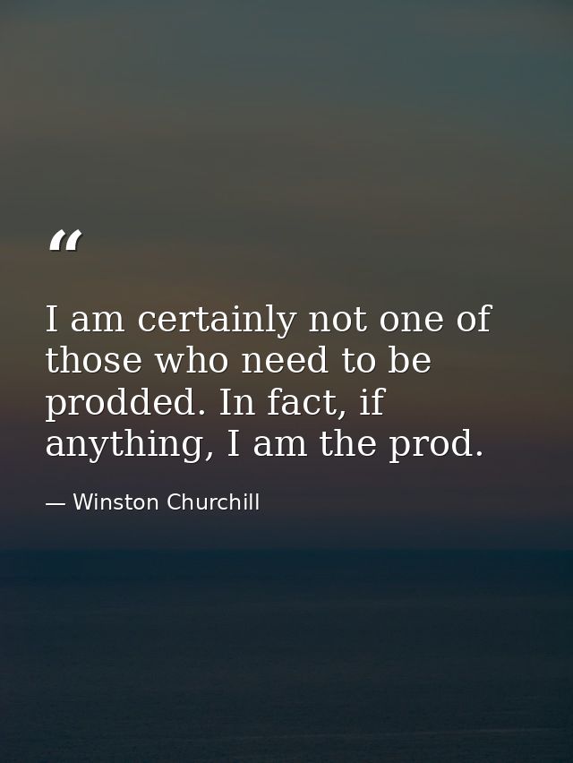 I am certainly not one of those who need to be prodded. In fact, if anything, I am the prod. — Winston Churchill