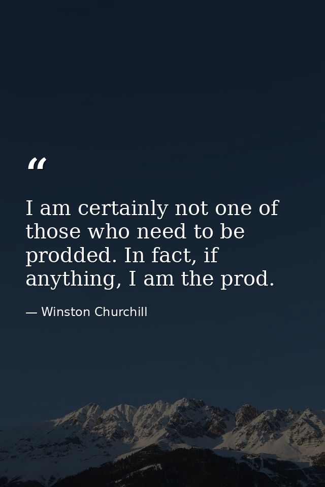 I am certainly not one of those who need to be prodded. In fact, if anything, I am the prod. — Winston Churchill