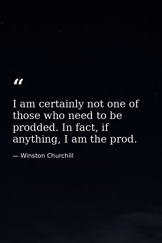 I am certainly not one of those who need to be prodded. In fact, if anything, I am the prod. — Winston Churchill