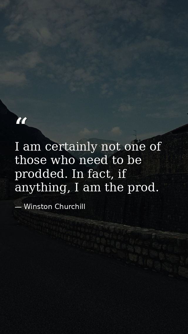 I am certainly not one of those who need to be prodded. In fact, if anything, I am the prod. — Winston Churchill