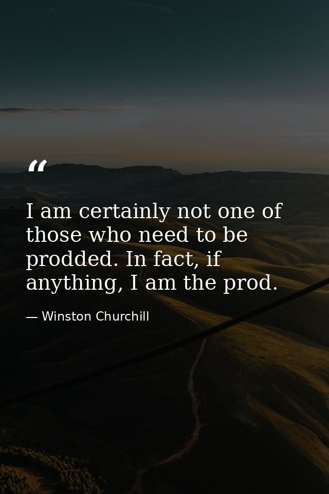 I am certainly not one of those who need to be prodded. In fact, if anything, I am the prod. — Winston Churchill