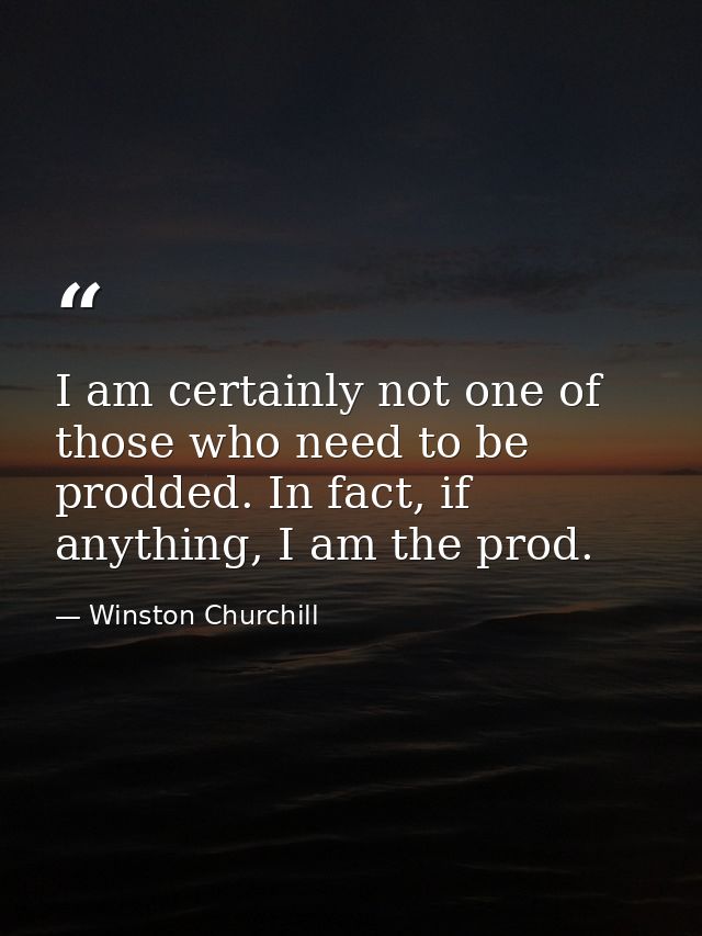 I am certainly not one of those who need to be prodded. In fact, if anything, I am the prod. — Winston Churchill