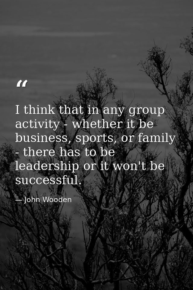 I think that in any group activity - whether it be business, sports, or family - there has to be leadership or it won't  — John Wooden