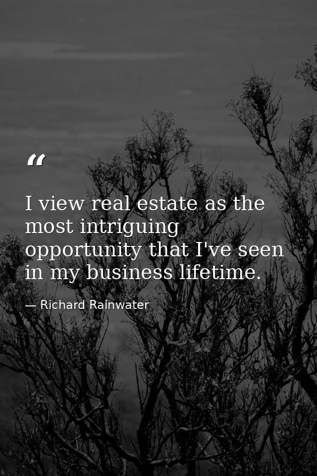 I view real estate as the most intriguing opportunity that I've seen in my business lifetime. — Richard Rainwater