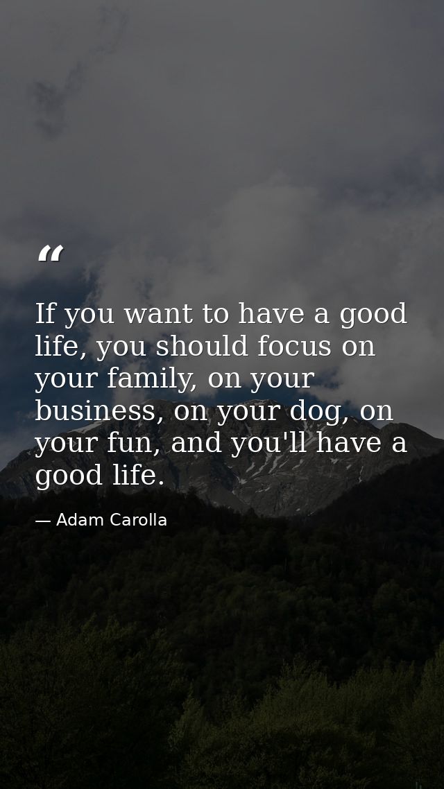 If you want to have a good life, you should focus on your family, on your business, on your dog, on your fun, and you'll — Adam Carolla