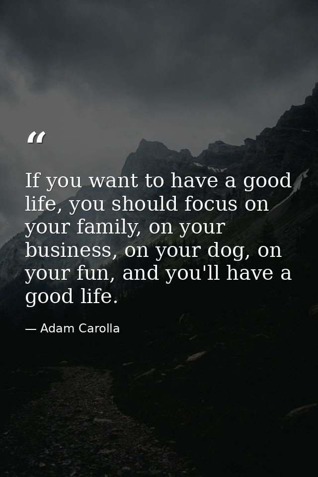 If you want to have a good life, you should focus on your family, on your business, on your dog, on your fun, and you'll — Adam Carolla