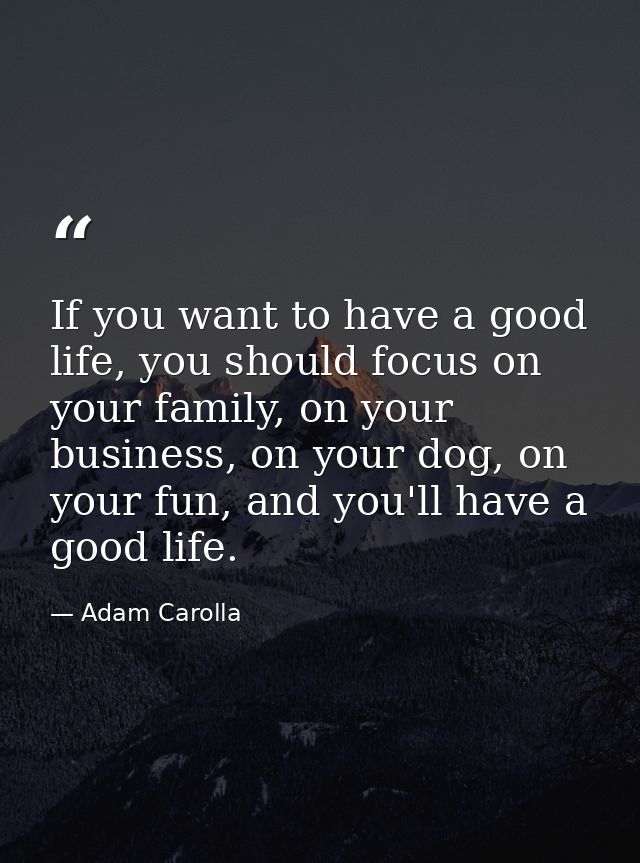 If you want to have a good life, you should focus on your family, on your business, on your dog, on your fun, and you'll — Adam Carolla