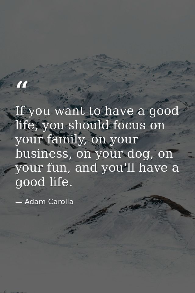 If you want to have a good life, you should focus on your family, on your business, on your dog, on your fun, and you'll — Adam Carolla