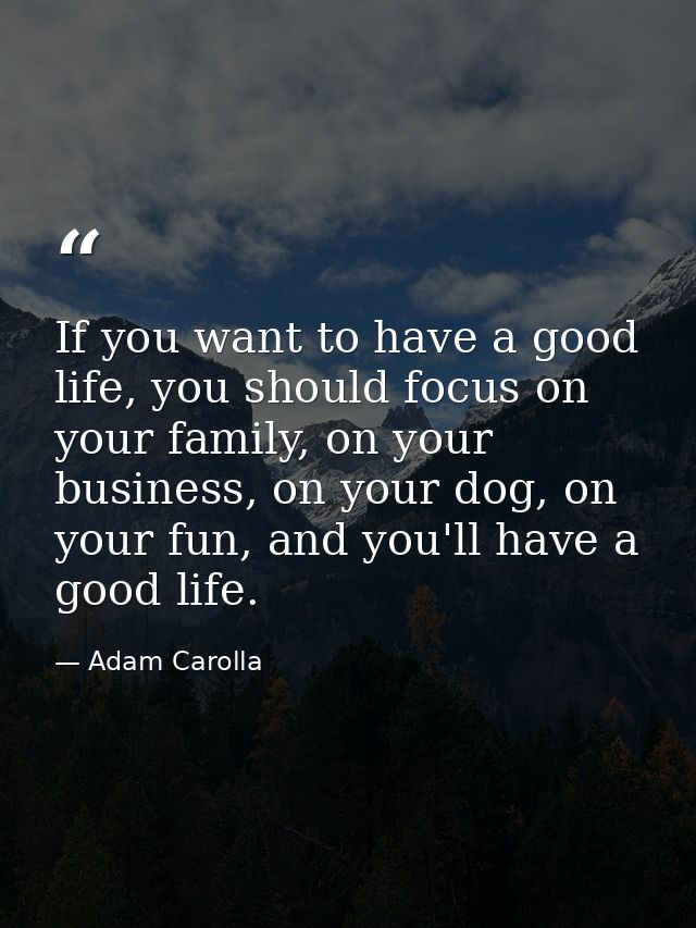 If you want to have a good life, you should focus on your family, on your business, on your dog, on your fun, and you'll — Adam Carolla