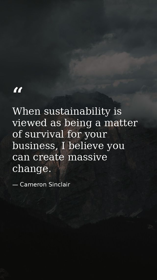 When sustainability is viewed as being a matter of survival for your business, I believe you can create massive change. — Cameron Sinclair