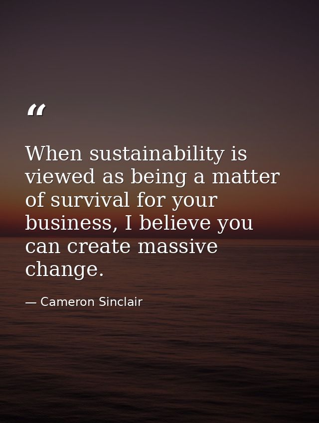 When sustainability is viewed as being a matter of survival for your business, I believe you can create massive change. — Cameron Sinclair