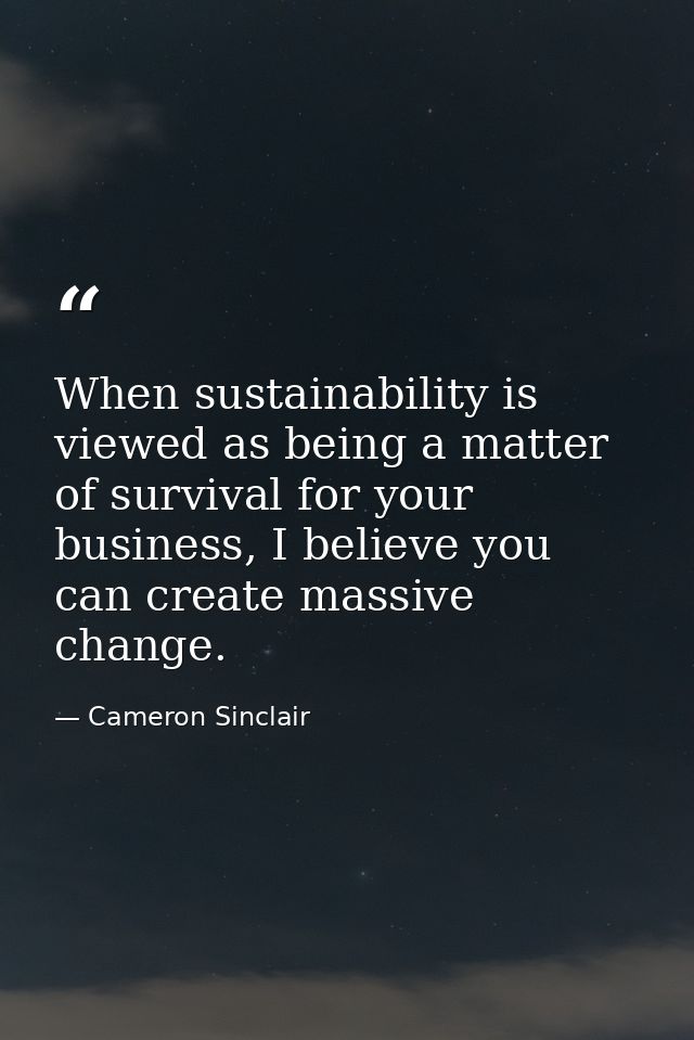 When sustainability is viewed as being a matter of survival for your business, I believe you can create massive change. — Cameron Sinclair