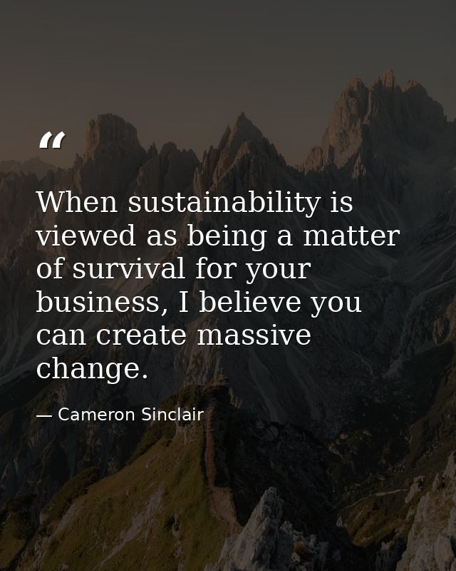 When sustainability is viewed as being a matter of survival for your business, I believe you can create massive change. — Cameron Sinclair