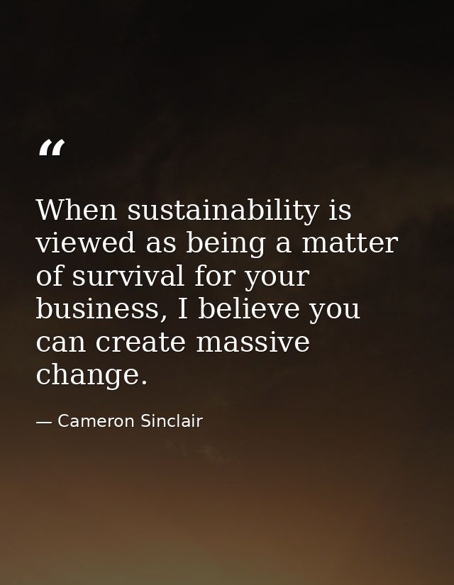When sustainability is viewed as being a matter of survival for your business, I believe you can create massive change. — Cameron Sinclair