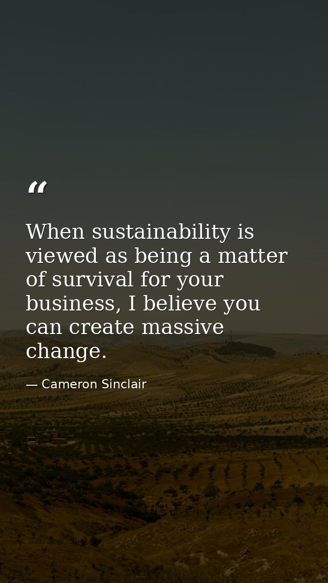 When sustainability is viewed as being a matter of survival for your business, I believe you can create massive change. — Cameron Sinclair