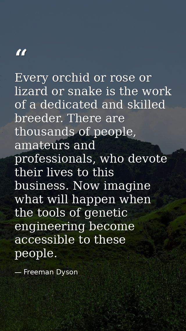 Every orchid or rose or lizard or snake is the work of a dedicated and skilled breeder. There are thousands of people, a — Freeman Dyson