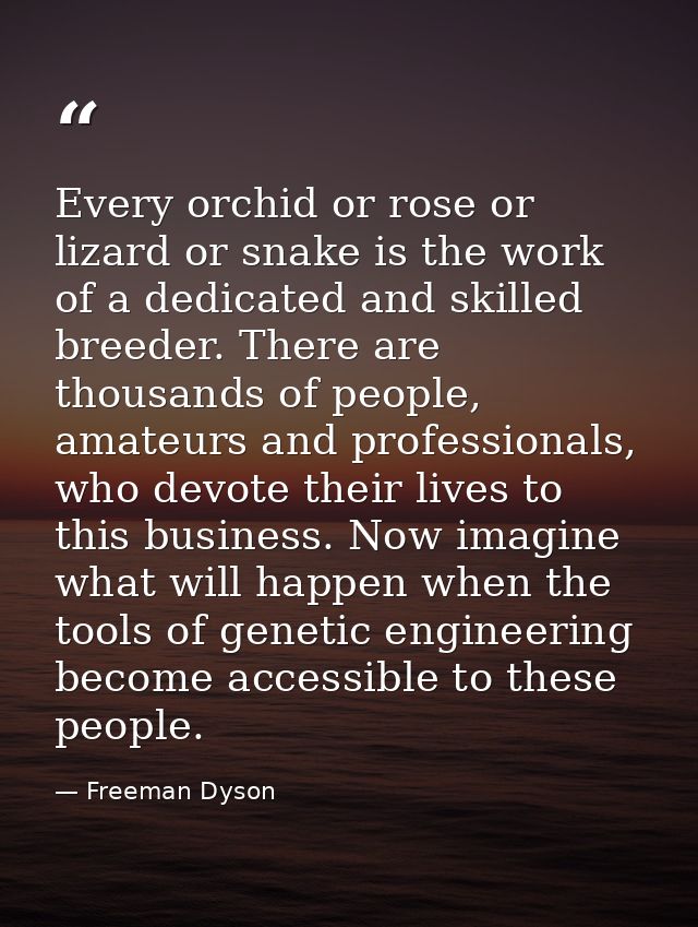 Every orchid or rose or lizard or snake is the work of a dedicated and skilled breeder. There are thousands of people, a — Freeman Dyson