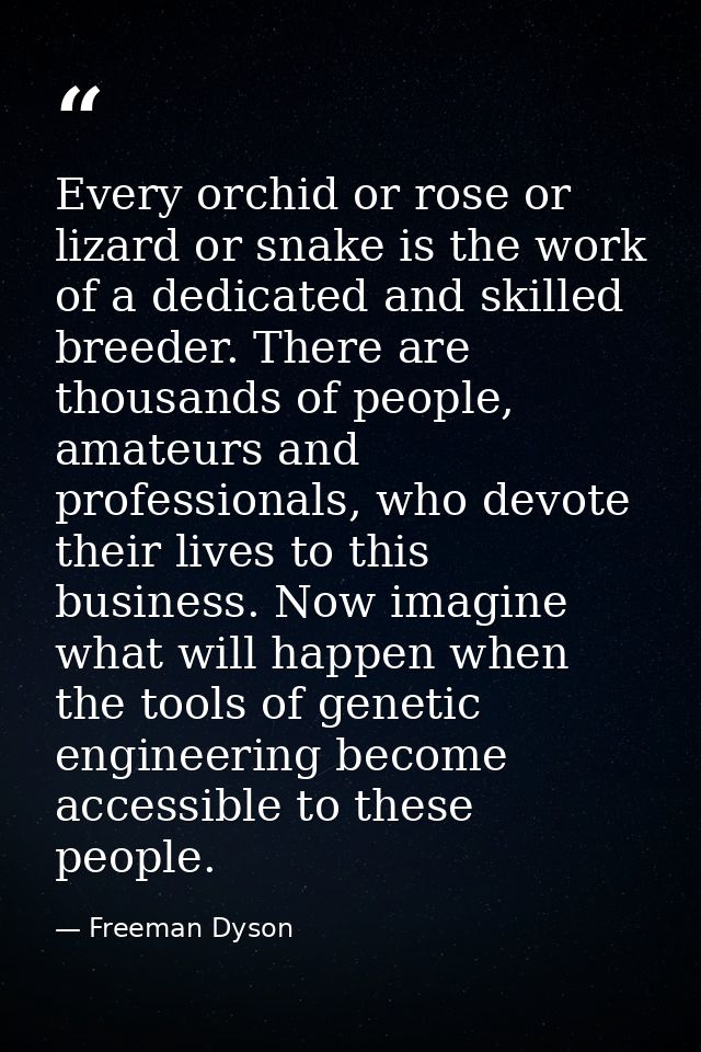 Every orchid or rose or lizard or snake is the work of a dedicated and skilled breeder. There are thousands of people, a — Freeman Dyson