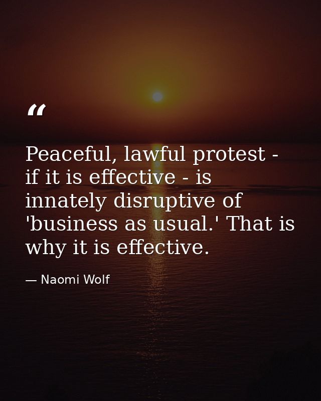 Peaceful, lawful protest - if it is effective - is innately disruptive of 'business as usual.' That is why it is effecti — Naomi Wolf