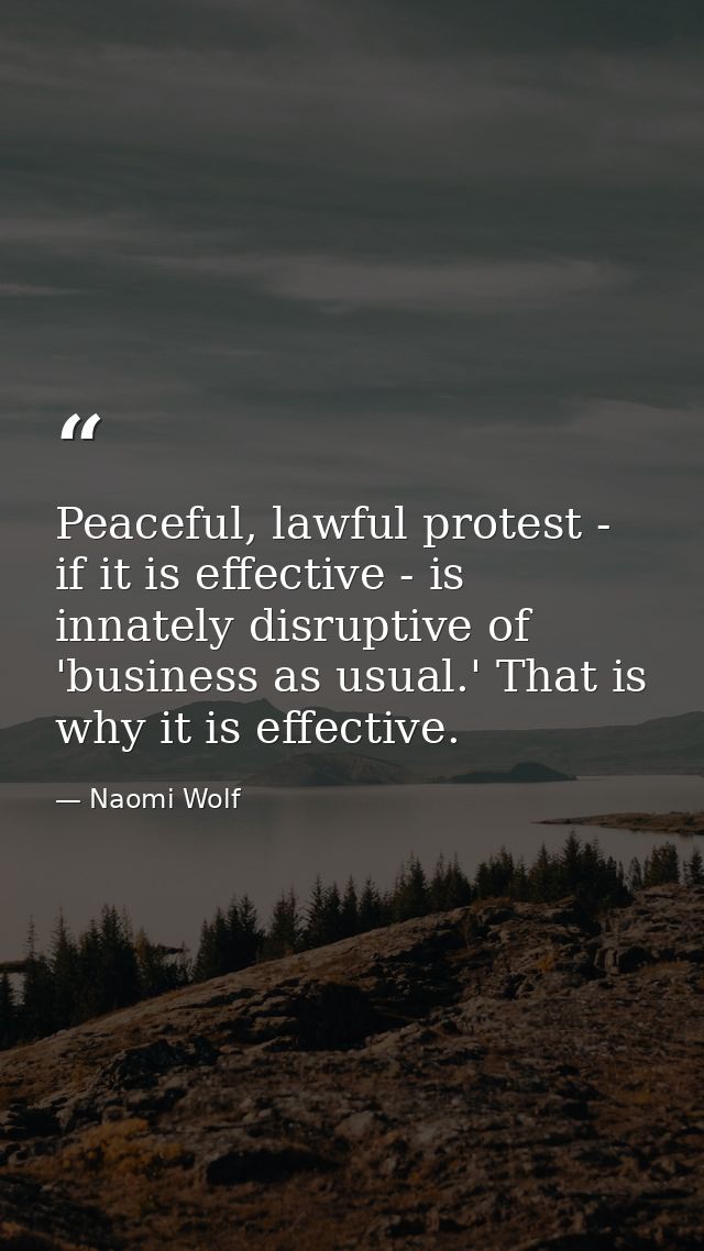 Peaceful, lawful protest - if it is effective - is innately disruptive of 'business as usual.' That is why it is effecti — Naomi Wolf
