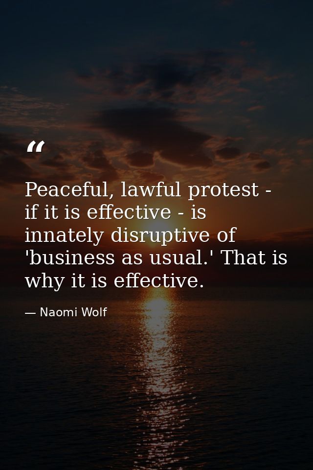 Peaceful, lawful protest - if it is effective - is innately disruptive of 'business as usual.' That is why it is effecti — Naomi Wolf