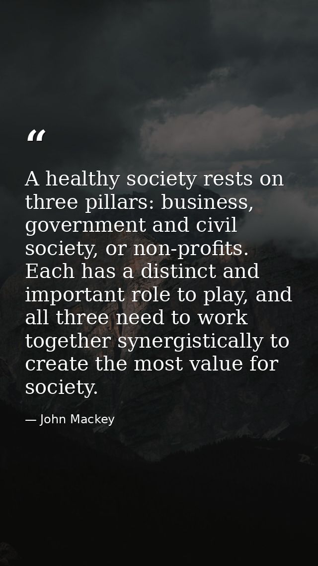 A healthy society rests on three pillars: business, government and civil society, or non-profits. Each has a distinct an — John Mackey