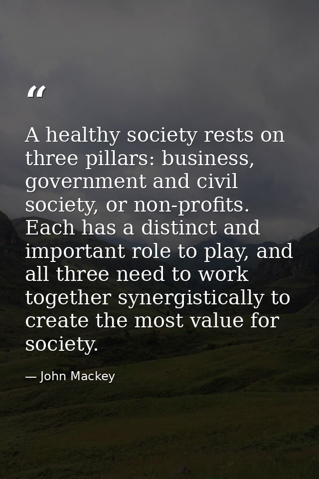 A healthy society rests on three pillars: business, government and civil society, or non-profits. Each has a distinct an — John Mackey