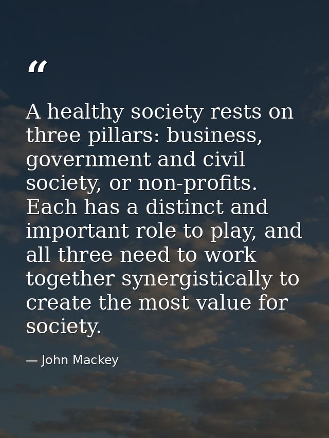 A healthy society rests on three pillars: business, government and civil society, or non-profits. Each has a distinct an — John Mackey