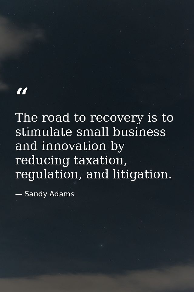 The road to recovery is to stimulate small business and innovation by reducing taxation, regulation, and litigation. — Sandy Adams