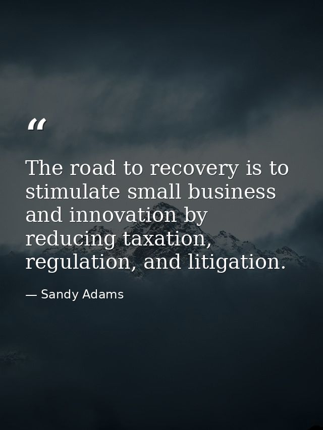 The road to recovery is to stimulate small business and innovation by reducing taxation, regulation, and litigation. — Sandy Adams