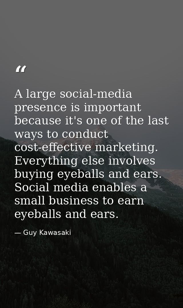 A large social-media presence is important because it's one of the last ways to conduct cost-effective marketing. Everyt — Guy Kawasaki