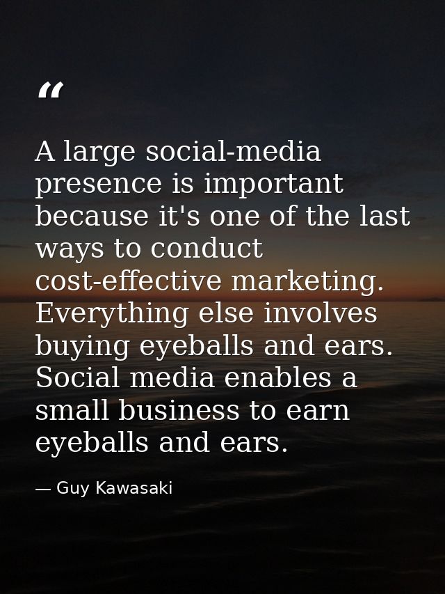 A large social-media presence is important because it's one of the last ways to conduct cost-effective marketing. Everyt — Guy Kawasaki