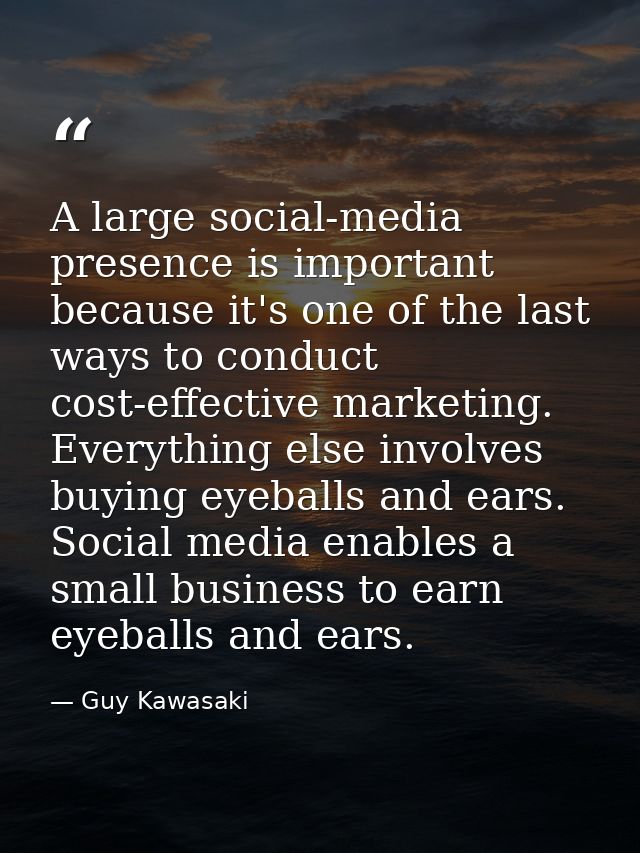 A large social-media presence is important because it's one of the last ways to conduct cost-effective marketing. Everyt — Guy Kawasaki