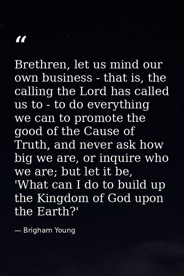 Brethren, let us mind our own business - that is, the calling the Lord has called us to - to do everything we can to pro — Brigham Young