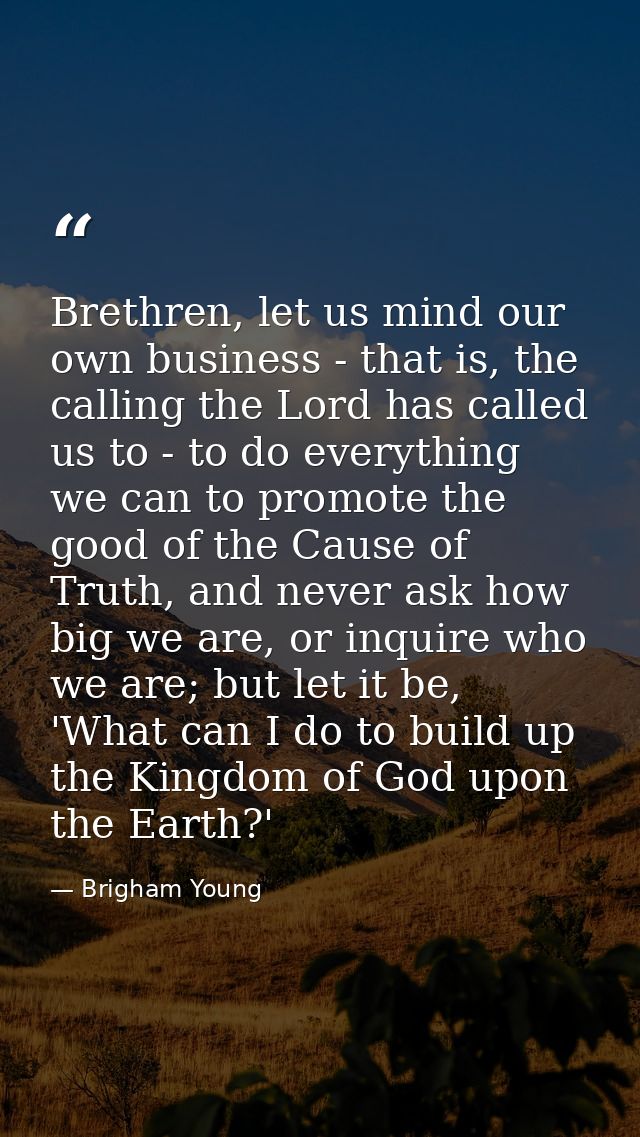 Brethren, let us mind our own business - that is, the calling the Lord has called us to - to do everything we can to pro — Brigham Young