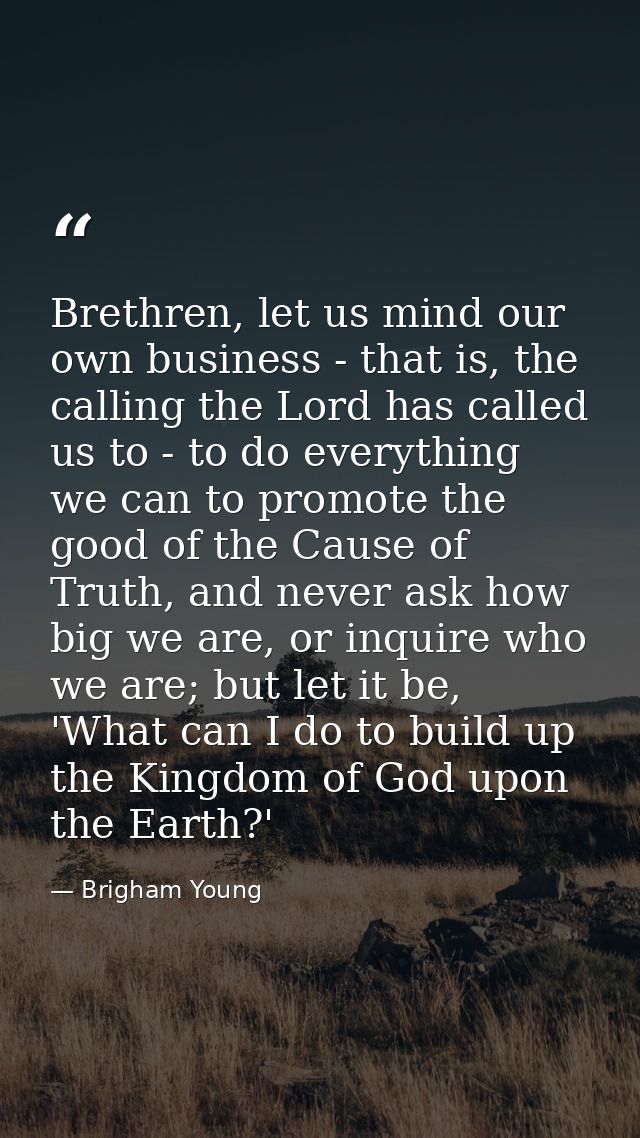 Brethren, let us mind our own business - that is, the calling the Lord has called us to - to do everything we can to pro — Brigham Young