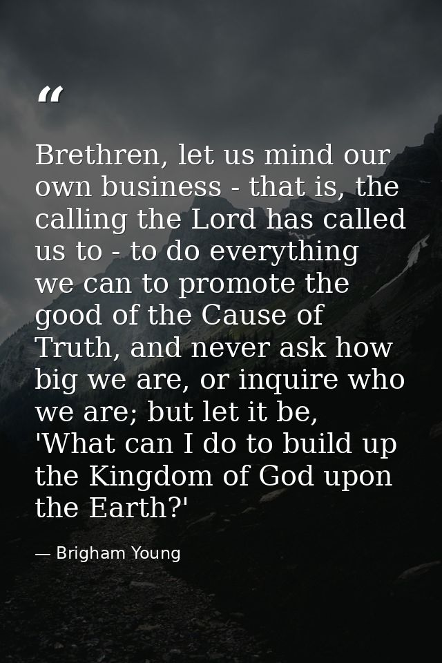 Brethren, let us mind our own business - that is, the calling the Lord has called us to - to do everything we can to pro — Brigham Young