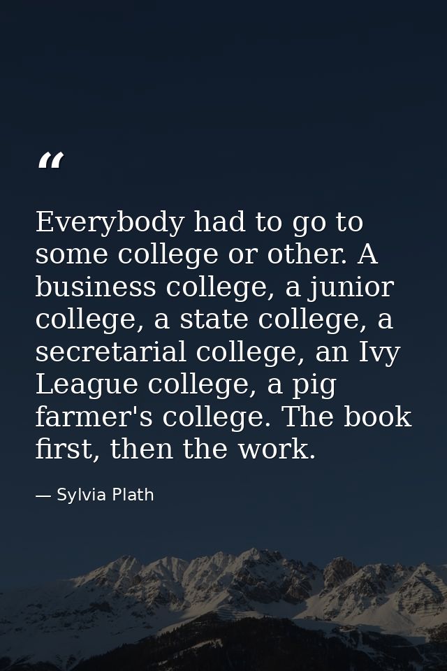 Everybody had to go to some college or other. A business college, a junior college, a state college, a secretarial colle — Sylvia Plath