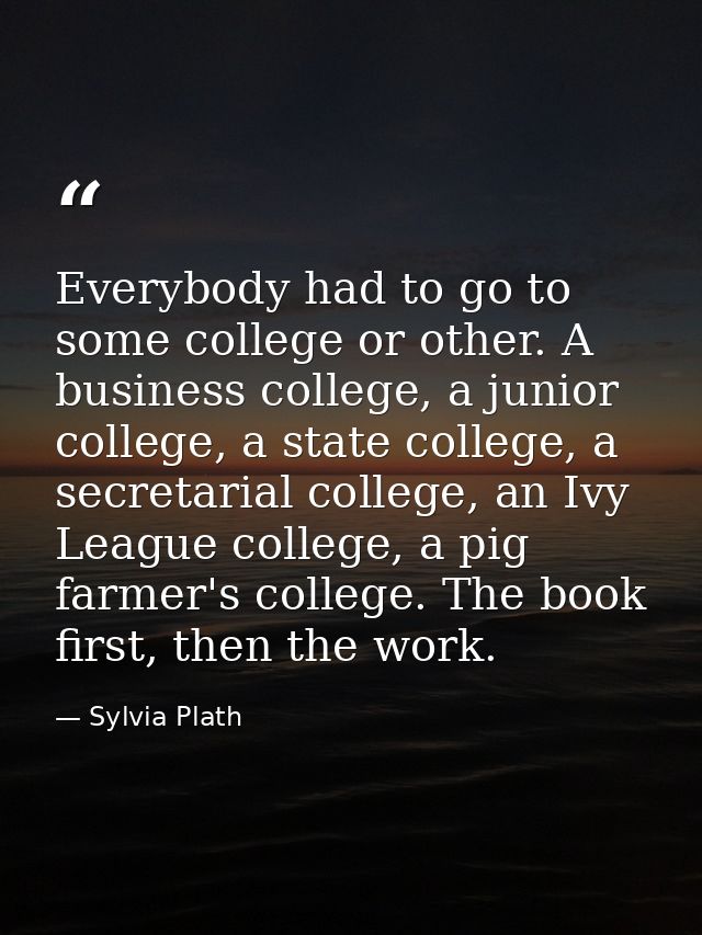 Everybody had to go to some college or other. A business college, a junior college, a state college, a secretarial colle — Sylvia Plath
