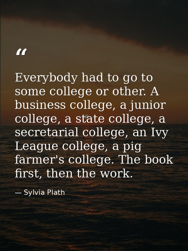 Everybody had to go to some college or other. A business college, a junior college, a state college, a secretarial colle — Sylvia Plath