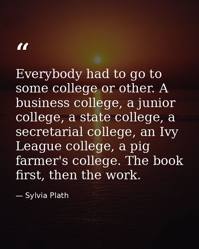 Everybody had to go to some college or other. A business college, a junior college, a state college, a secretarial colle — Sylvia Plath