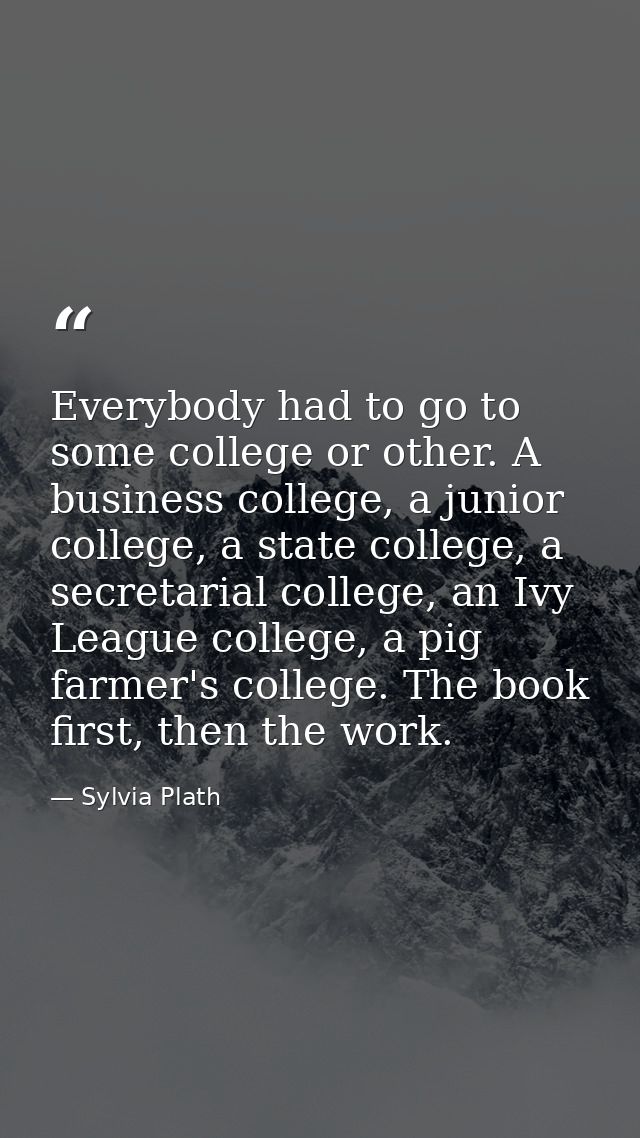 Everybody had to go to some college or other. A business college, a junior college, a state college, a secretarial colle — Sylvia Plath